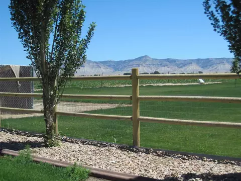 1171 Toscano Rd, Fruita, CO 81521 photo 3
