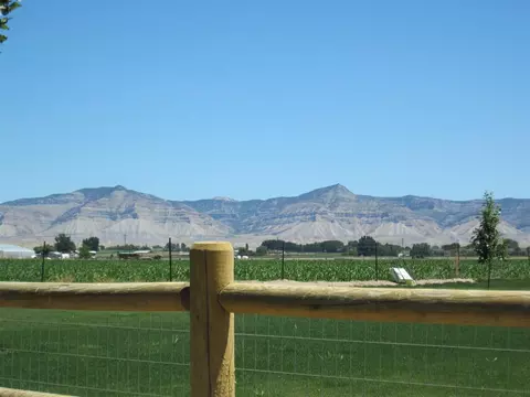 1171 Toscano Rd, Fruita, CO 81521 photo 6