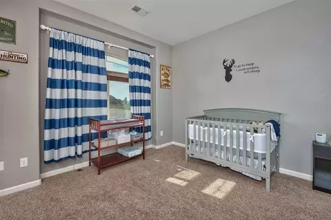 1171 Toscano Rd, Fruita, CO 81521 photo 27