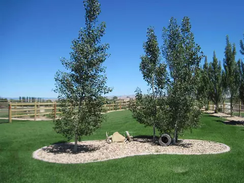 1171 Toscano Rd, Fruita, CO 81521 photo 5