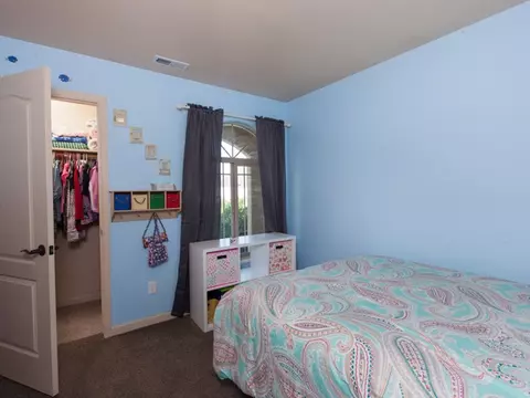 710 Delean Way, Fruita, CO 81521 photo 21