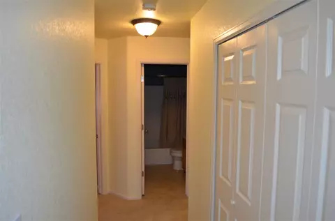 246 Narrow Leaf Dr, Fruita, CO 81521 photo 7