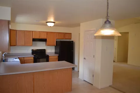 246 Narrow Leaf Dr, Fruita, CO 81521 photo 4