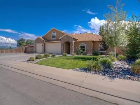 1748 Powis Ln, Fruita, CO 81521 photo 29