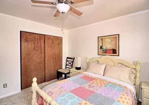 1129 Sunflower Ave, Fruita, CO 81521 photo 15