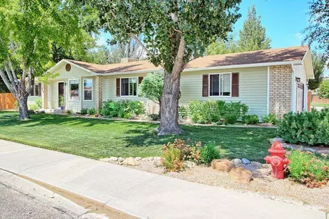 1129 Sunflower Ave, Fruita, CO 81521 photo 27