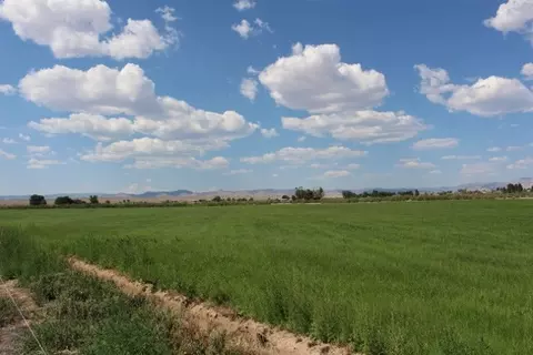 853 R Rd, Mack, CO 81525 photo 5