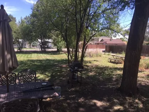 544 Carolina Ave, Fruita, CO 81521 photo 10