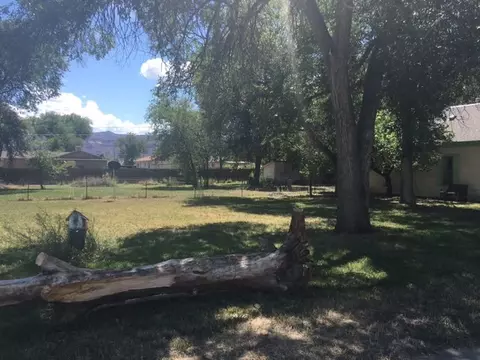 544 Carolina Ave, Fruita, CO 81521 photo 6
