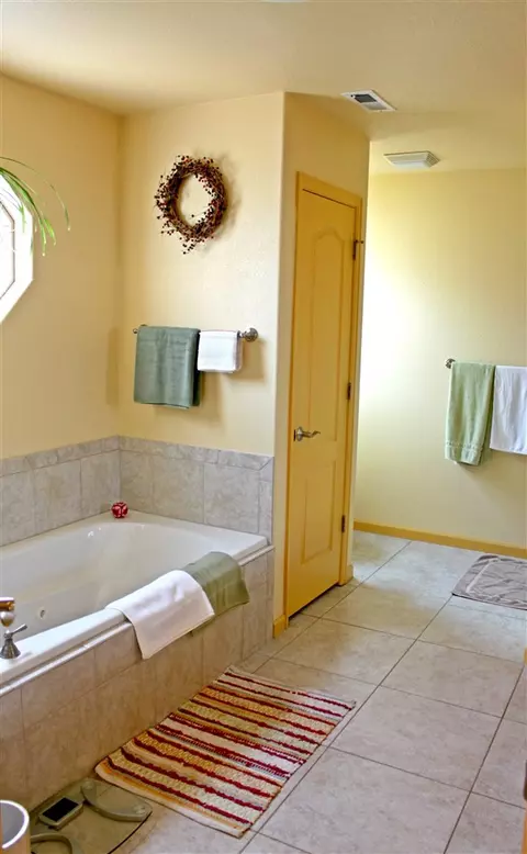 869 Sabil Dr, Fruita, CO 81521 photo 11