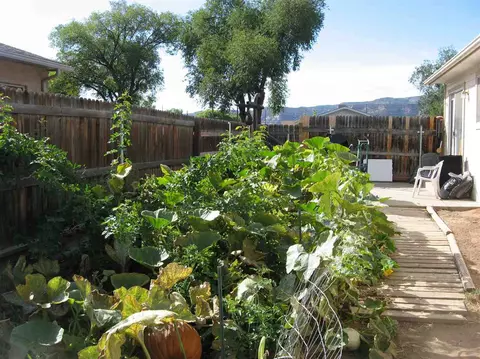 537 E Harrison Ave, Fruita, CO 81521 photo 9