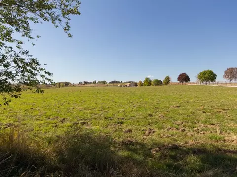 1417 19 Rd, Fruita, CO 81521 photo 24