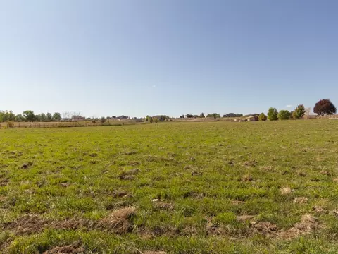 1417 19 Rd, Fruita, CO 81521 photo 5