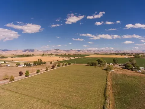 1417 19 Rd, Fruita, CO 81521 photo 21