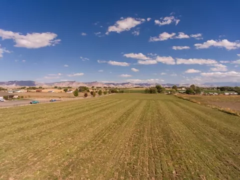 1417 19 Rd, Fruita, CO 81521 photo 18