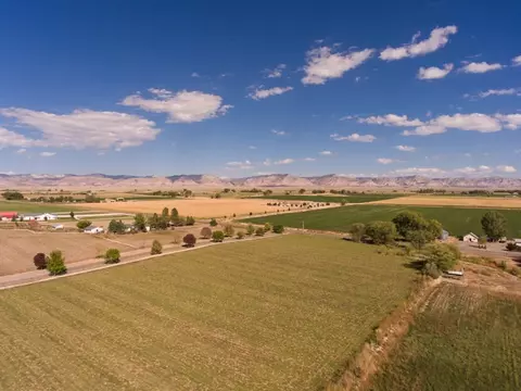 1417 19 Rd, Fruita, CO 81521 photo 22