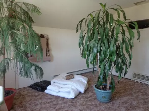 16149 2600 Rd, Cedaredge, CO 81413 photo 19