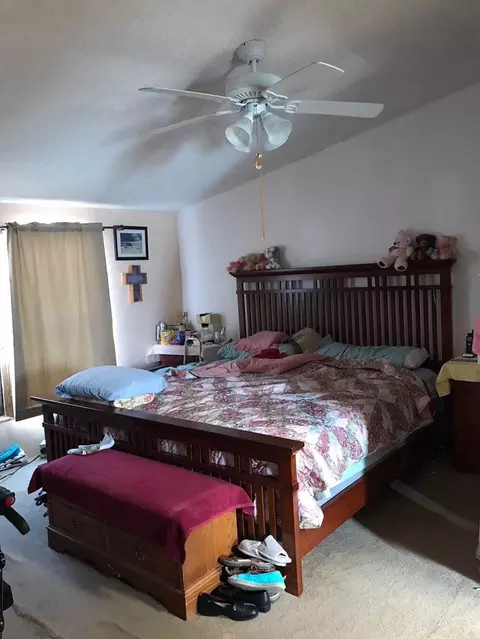 454 Greig Ave, De Beque, CO 81630 photo 9