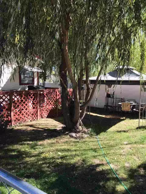 454 Greig Ave, De Beque, CO 81630 photo 3