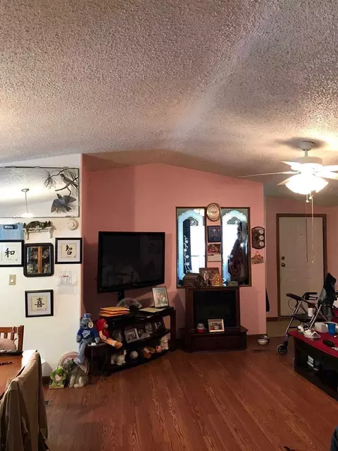 454 Greig Ave, De Beque, CO 81630 photo 5