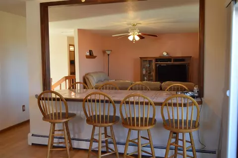 924 Squire Ct, Fruita, CO 81521 photo 8