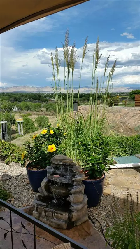 924 Squire Ct, Fruita, CO 81521 photo 23