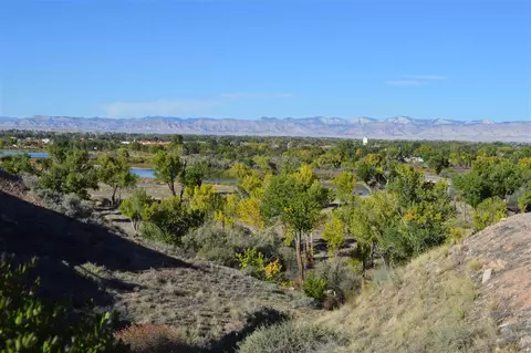 924 Squire Ct, Fruita, CO 81521 photo 18