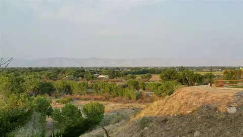 924 Squire Ct, Fruita, CO 81521 photo 28