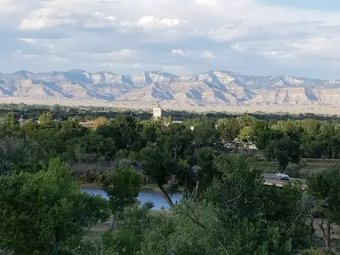 924 Squire Ct, Fruita, CO 81521 photo 26