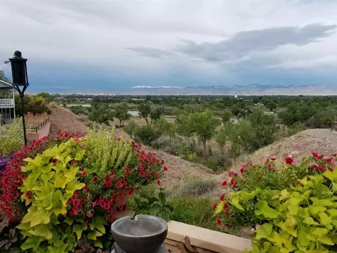 924 Squire Ct, Fruita, CO 81521 photo 24