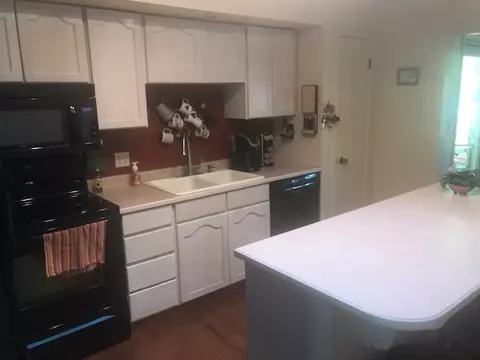 1062 E Pabor Ave, Fruita, CO 81521 photo 4