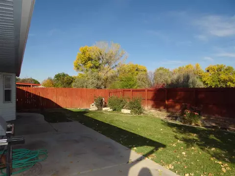 1137 Walnut St, Fruita, CO 81521 photo 12
