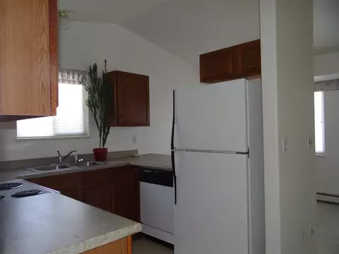 1137 Walnut St, Fruita, CO 81521 photo 6