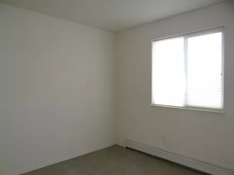 1137 Walnut St, Fruita, CO 81521 photo 11