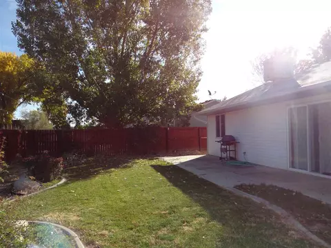 1137 Walnut St, Fruita, CO 81521 photo 14