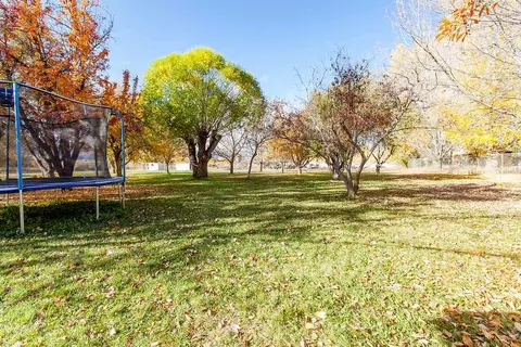 1097 Wallace St, Fruita, CO 81521 photo 22