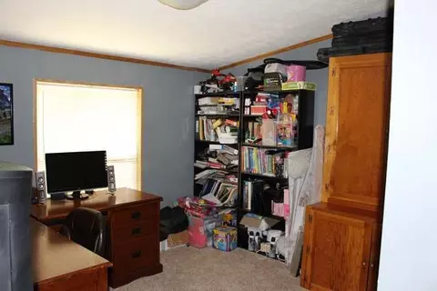 1351 Aquarius Ave, Fruita, CO 81521 photo 10