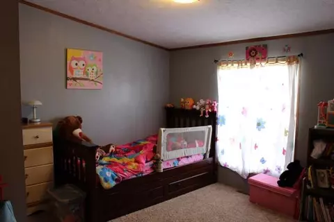 1351 Aquarius Ave, Fruita, CO 81521 photo 23