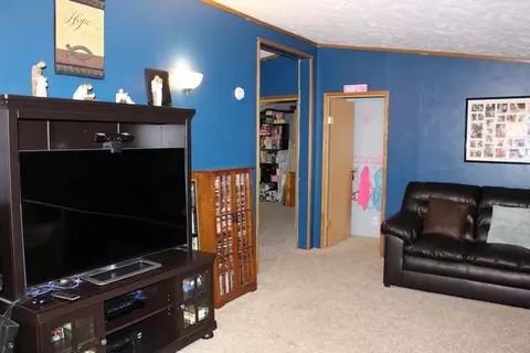 1351 Aquarius Ave, Fruita, CO 81521 photo 7