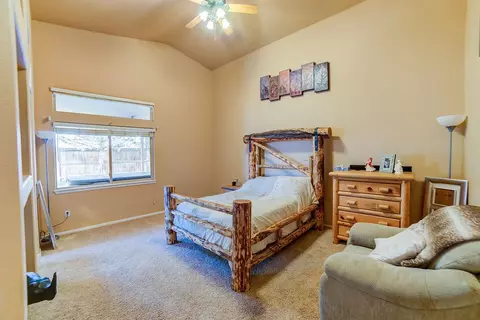 458 N Annabelle Ct, Fruita, CO 81521 photo 9