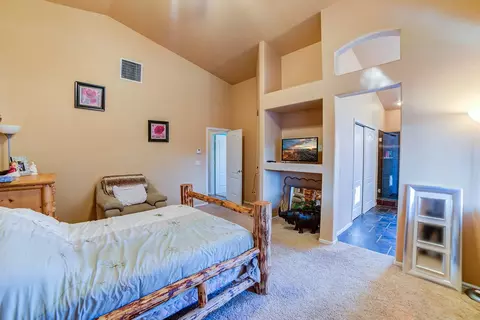 458 N Annabelle Ct, Fruita, CO 81521 photo 10