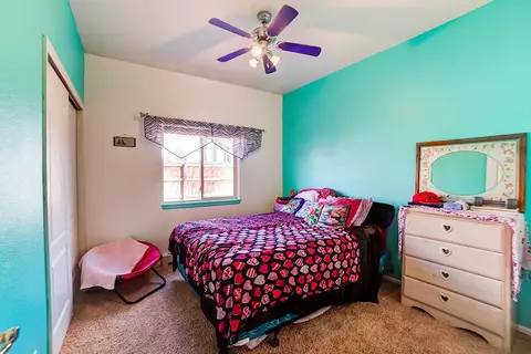 458 N Annabelle Ct, Fruita, CO 81521 photo 12