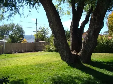 618 Harrison Ave, Fruita, CO 81521 photo 13