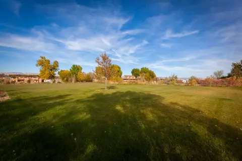 1224 Aqua Ct, Fruita, CO 81521 photo 35