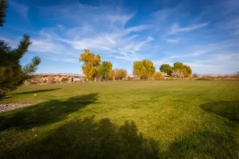 1224 Aqua Ct, Fruita, CO 81521 photo 34