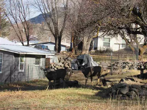 312 E High St, Collbran, CO 81624 photo 10