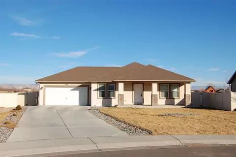 232 Javan Ct, Fruita, CO 81521 photo 1