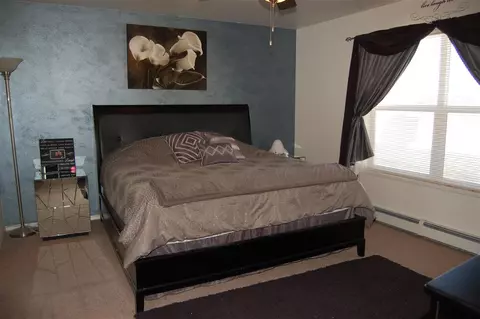 232 Javan Ct, Fruita, CO 81521 photo 7