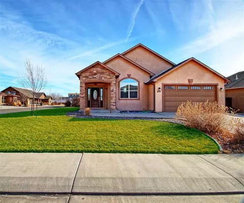 878 Esprit Ln, Fruita, CO 81521 photo 1
