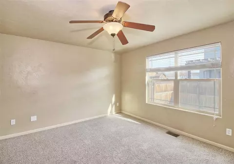 878 Esprit Ln, Fruita, CO 81521 photo 29